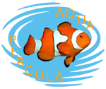 aquapercula